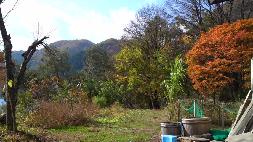 a0287278_1847774.jpg