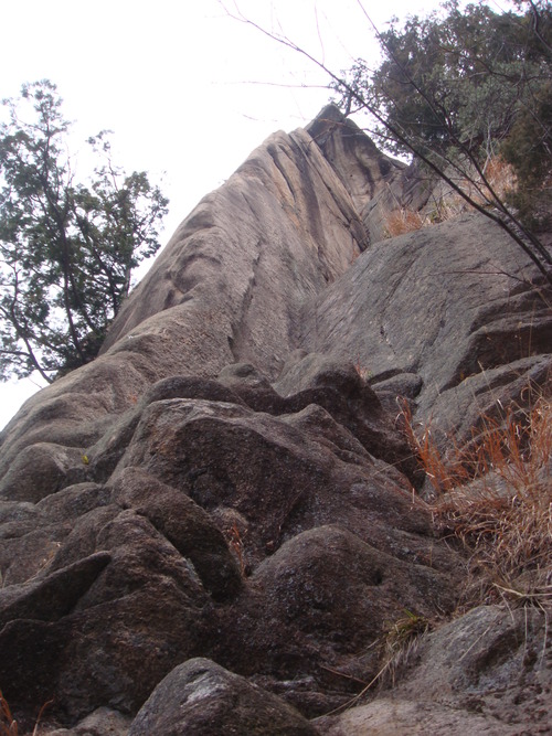 f0223480_23115932.jpg