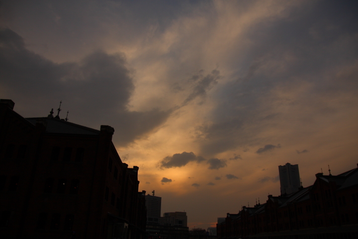 f0164989_5451258.jpg
