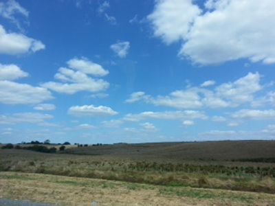 c0003493_10552689.jpg