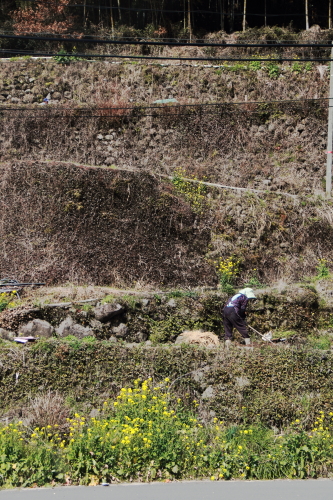 c0129498_17334531.jpg