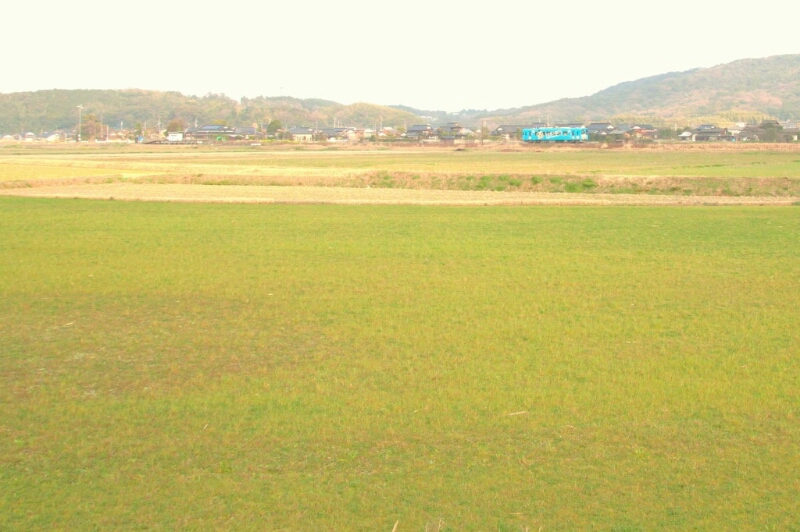 e0298415_019550.jpg