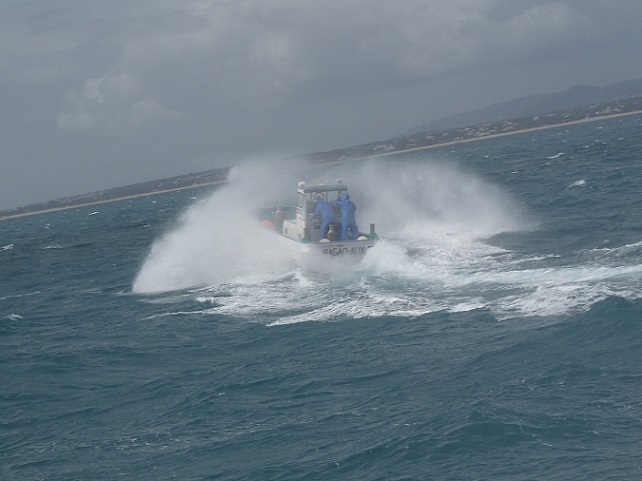 d0113817_456145.jpg