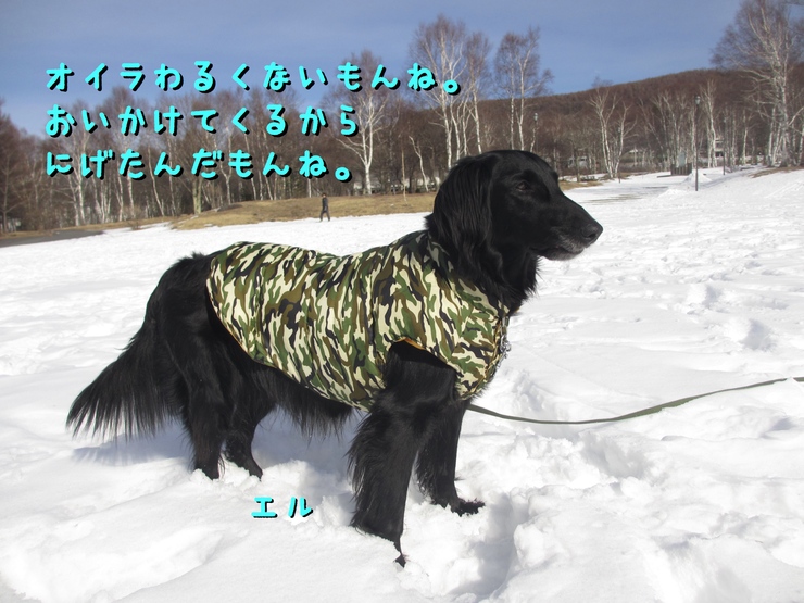 c0237824_2248547.jpg