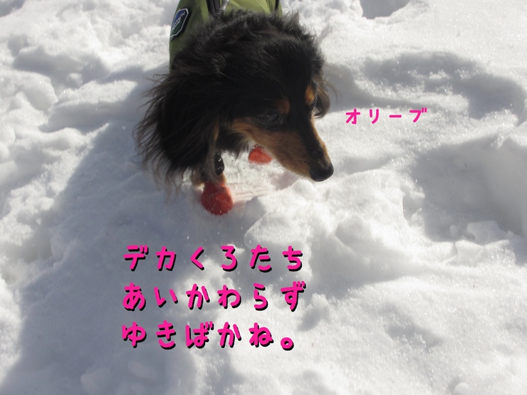c0237824_9341950.jpg