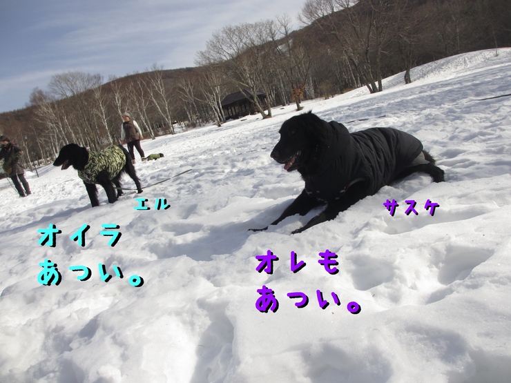 c0237824_9352516.jpg