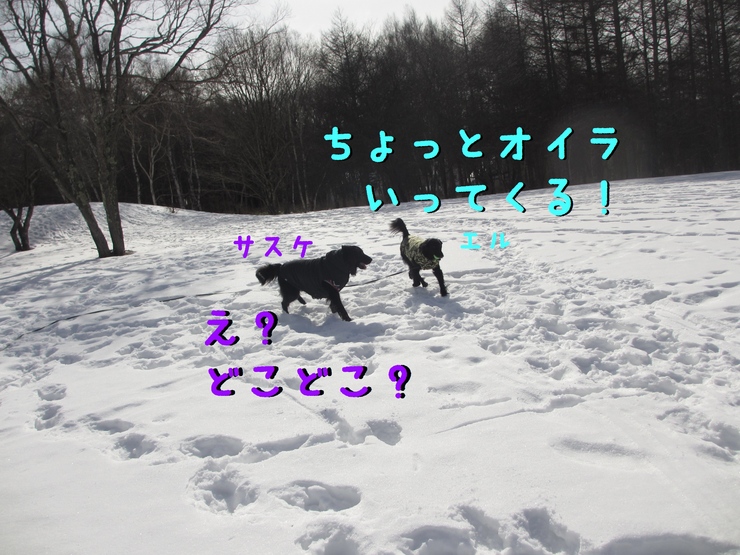 c0237824_936054.jpg