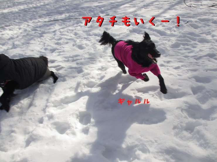 c0237824_9362261.jpg