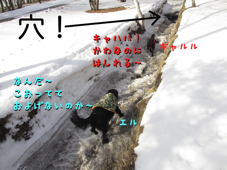 c0237824_938383.jpg