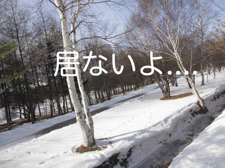 c0237824_939385.jpg