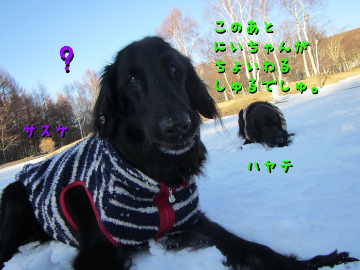 c0237824_9435281.jpg