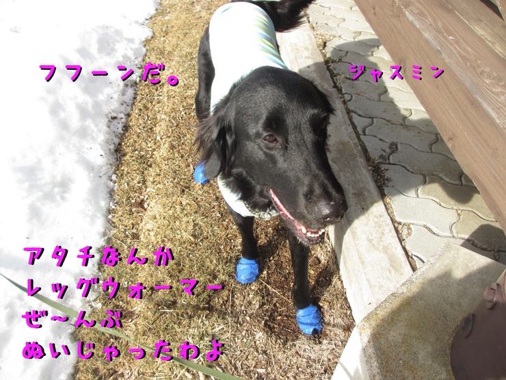 c0237824_9583621.jpg