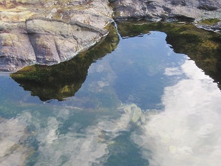 c0051529_1141185.jpg