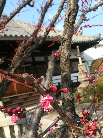 b0162732_1341213.jpg
