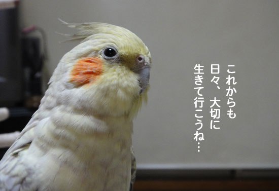 a0056140_0125940.jpg