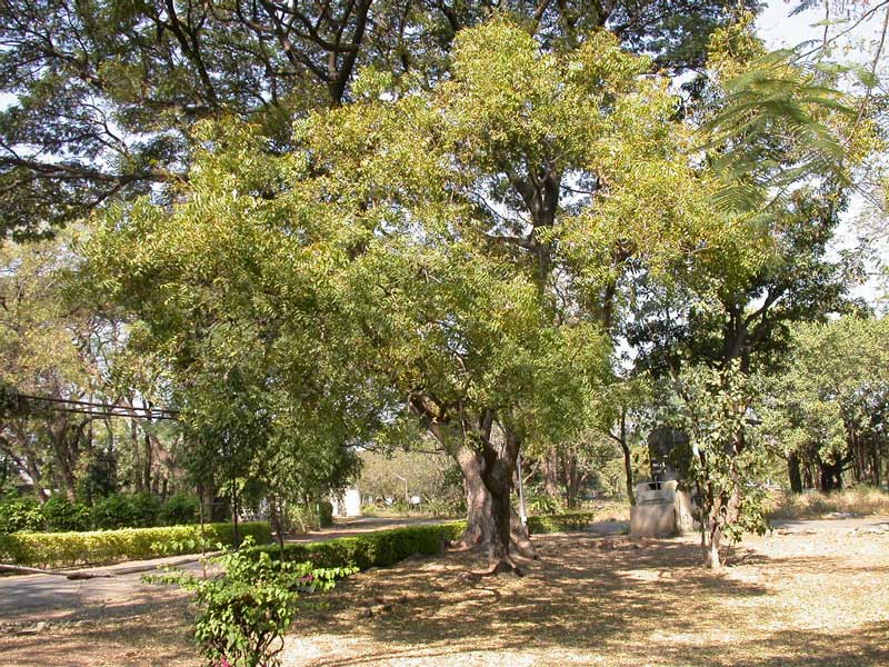 e0104941_3344375.jpg