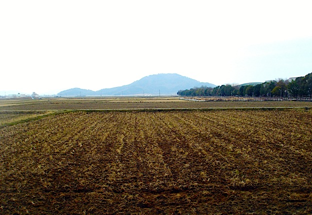 f0178153_14263449.jpg