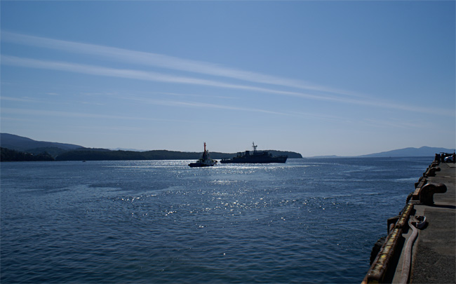 c0122266_3452159.jpg