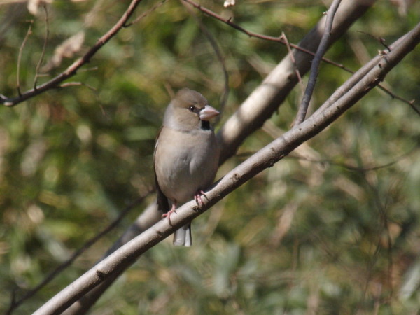 f0208666_16583411.jpg