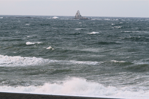 a0157069_7422525.jpg