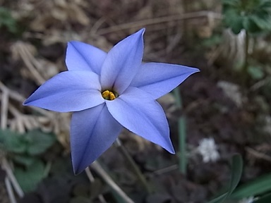 b0185771_187149.jpg