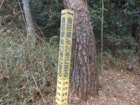 c0206177_834338.jpg