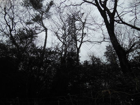 c0206177_8362319.jpg