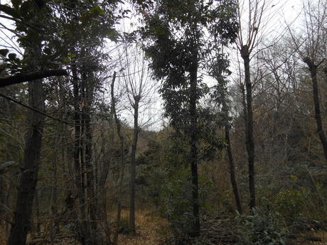 c0206177_840929.jpg