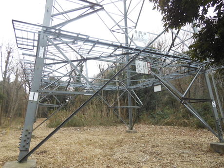 c0206177_8415449.jpg