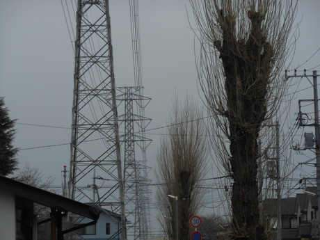 c0206177_8463352.jpg