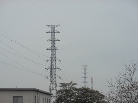 c0206177_8485084.jpg