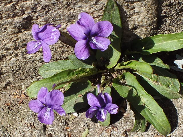 e0145782_19133129.jpg