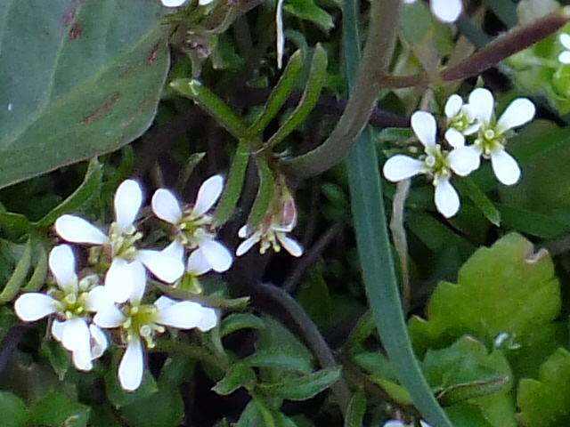e0145782_1914387.jpg