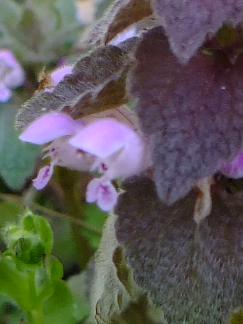 e0145782_19151353.jpg
