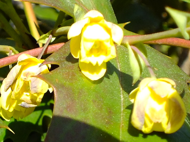 e0145782_1921888.jpg