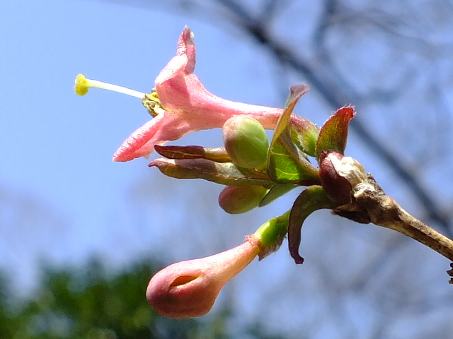 e0145782_1932018.jpg