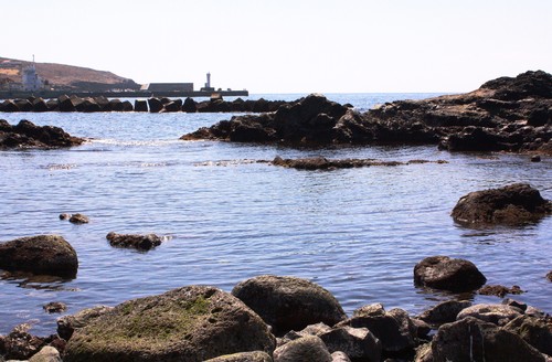 c0204385_0521165.jpg