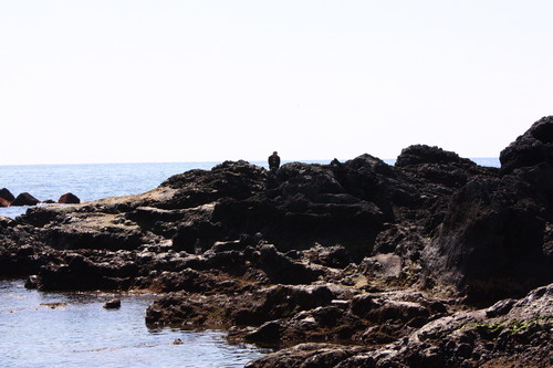 c0204385_0531398.jpg