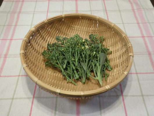 c0281888_17412471.jpg