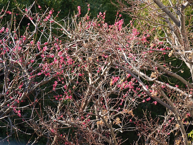 f0108399_21562328.jpg