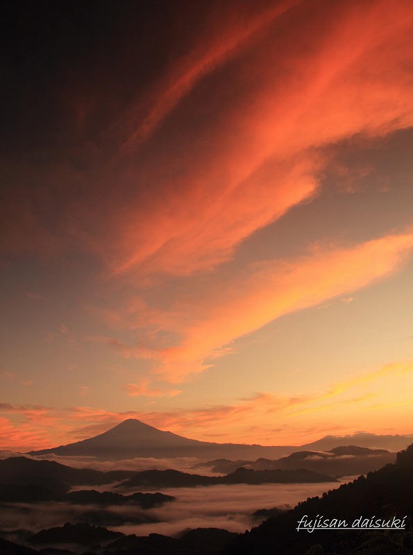 a0188405_14232970.jpg
