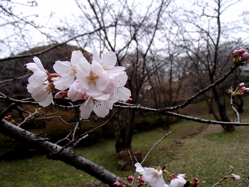 a0097006_21334714.jpg