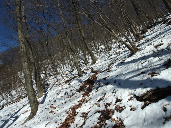 b0244811_12192064.jpg