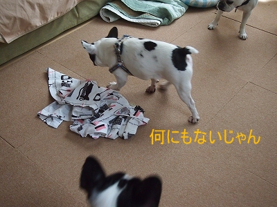b0207912_22372014.jpg
