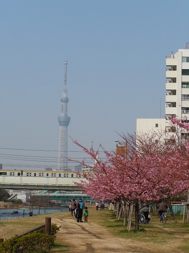 c0101913_14222340.jpg