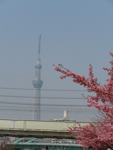 c0101913_14311444.jpg