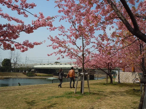 c0101913_1433372.jpg