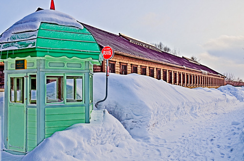 e0192715_1957145.jpg
