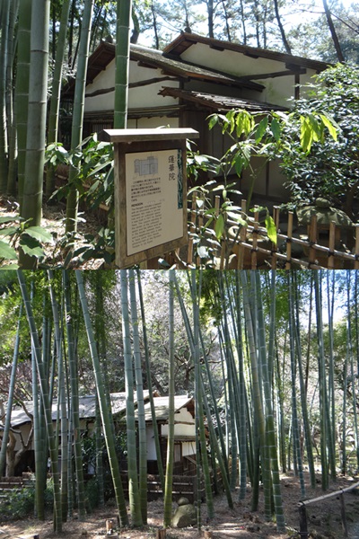d0037233_11481050.jpg
