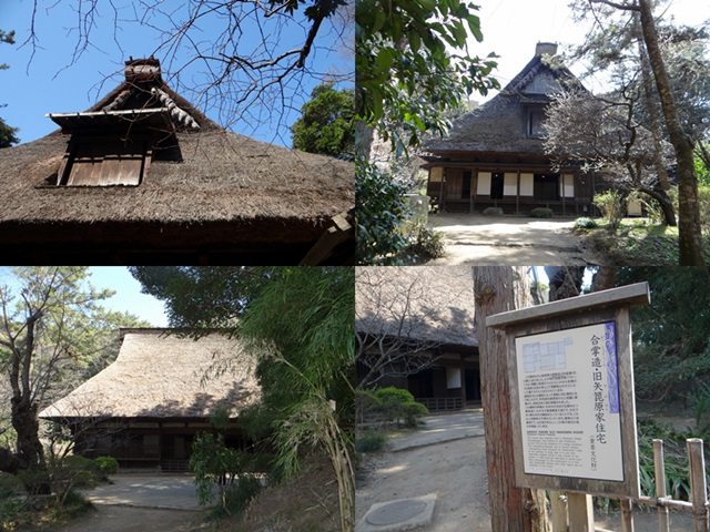 d0037233_1325294.jpg